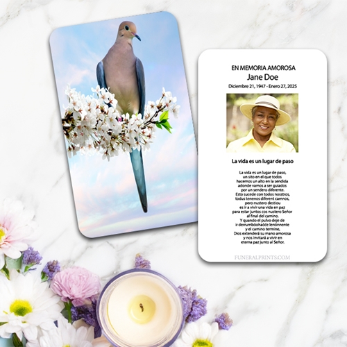 Show details for Dove Spanish Prayer Card