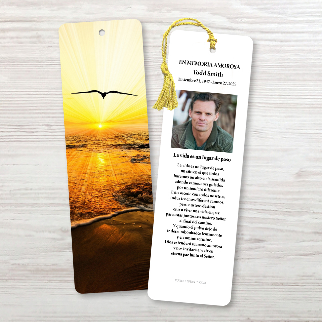 Show details for Sunset Seagull Spanish Bookmark