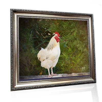 Show details for Framed Memorial Portrait - Cherished Bird with Choice of Backgrounds