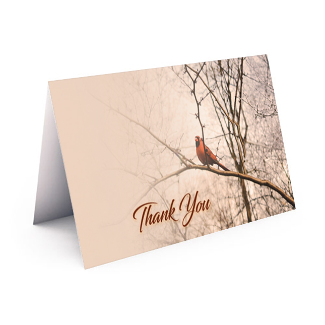 Show details for Cardinal Thank You Card