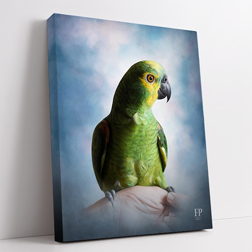 Show details for Wrapped Canvas Memorial Portrait - Cherished Bird with Choice of Backgrounds