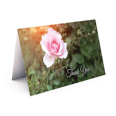 Show details for Pink Rose Thank You Card