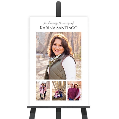 Show details for Collage Poster #9