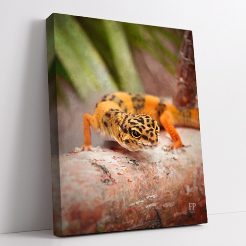Show details for Wrapped Canvas Memorial Portrait - Serene Lizard with Studio Background