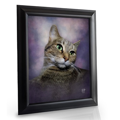 Show details for Framed Memorial Portrait - Curious Cat with Choice of Backgrounds