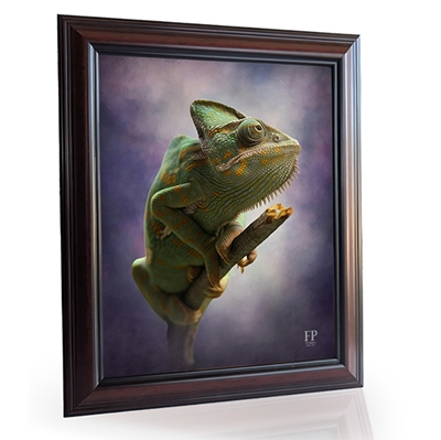 Show details for Framed Memorial Portrait - Serene Lizard with Choice of Backgrounds
