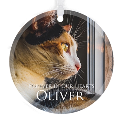 Show details for Classic Full Circle Pet Ornament