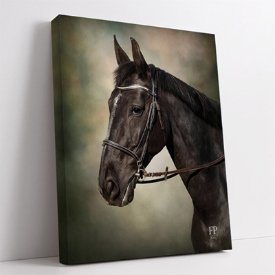 Show details for Wrapped Canvas Memorial Portrait - Horse with Choice of Backgrounds