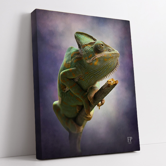 Show details for Wrapped Canvas Memorial Portrait - In Loving Memory Iguana with Studio Background