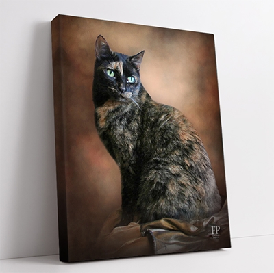 Show details for Wrapped Canvas Memorial Portrait - Curious Cat with Choice of Backgrounds