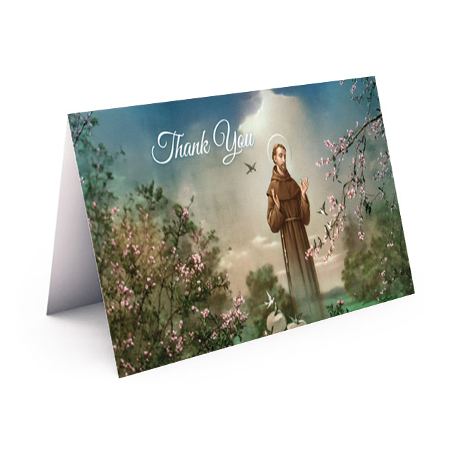 Show details for St. Francis 3 Thank You Card