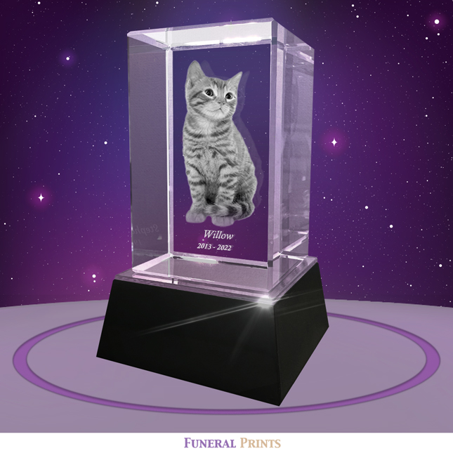 Show details for 3D Cube Pet Crystal – Photo & Text