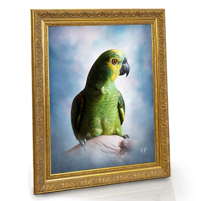 Show details for Framed Memorial Portrait - Cherished Bird with Choice of Backgrounds