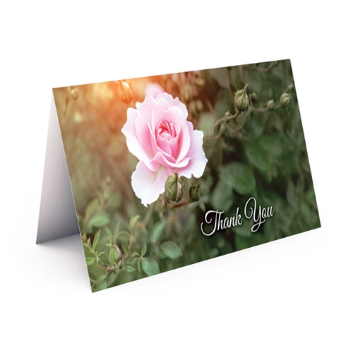 Show details for Pink Rose Thank You Card