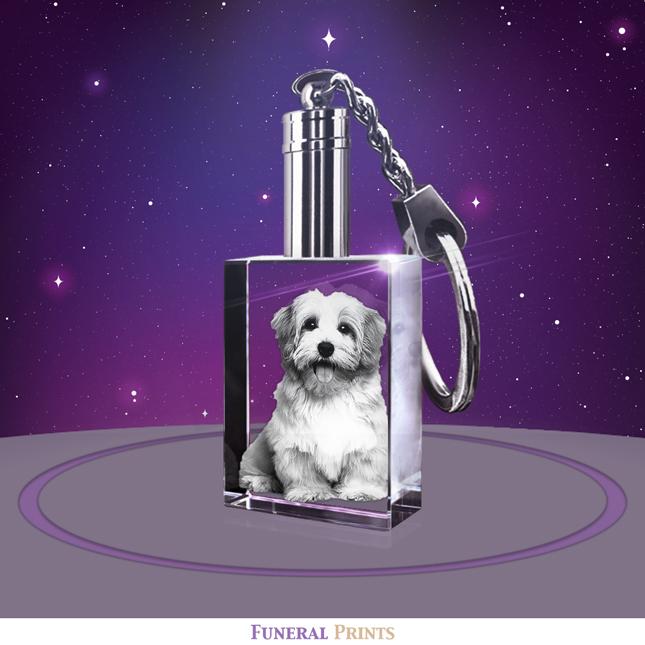 Show details for 2D Crystal Pet Keychain – Photo Only