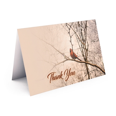 Show details for Cardinal Thank You Card