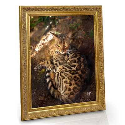 Show details for Framed Memorial Portrait - Curious Cat with Choice of Backgrounds