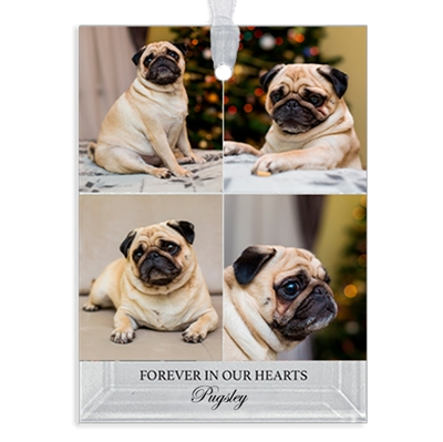 Show details for Gallery 4 Rectangle Pet  Ornament