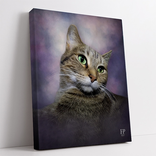 Show details for Wrapped Canvas Memorial Portrait - Curious Cat with Studio Background
