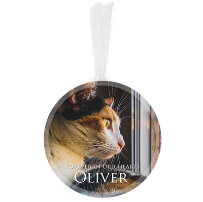 Show details for Classic Full Circle Pet Ornament