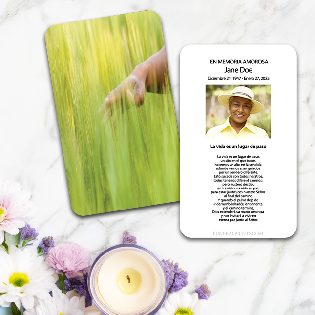 Show details for Green Meadow Spanish Prayer Card