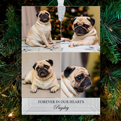 Show details for Gallery 4 Rectangle Pet  Ornament