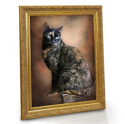 Show details for Framed Memorial Portrait - Curious Cat with Choice of Backgrounds