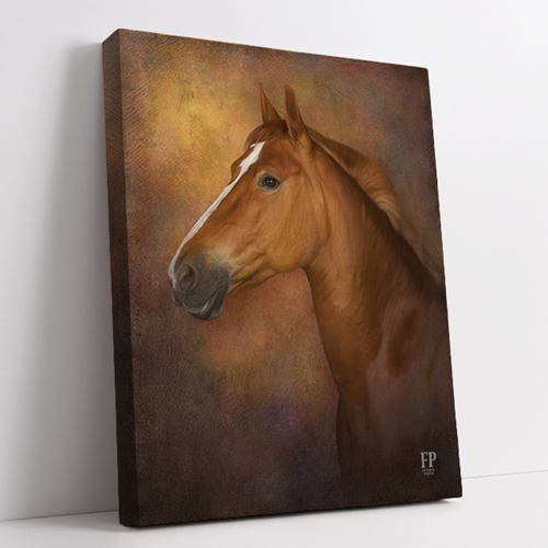Show details for Wrapped Canvas Memorial Portrait - Horse with Choice of Backgrounds