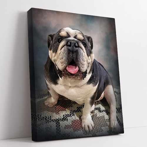 Show details for Wrapped Canvas Memorial Portrait - Beloved Dog 6 with Studio Background