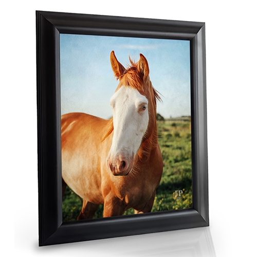 Show details for Framed Memorial Portrait - Horse with Choice of Backgrounds