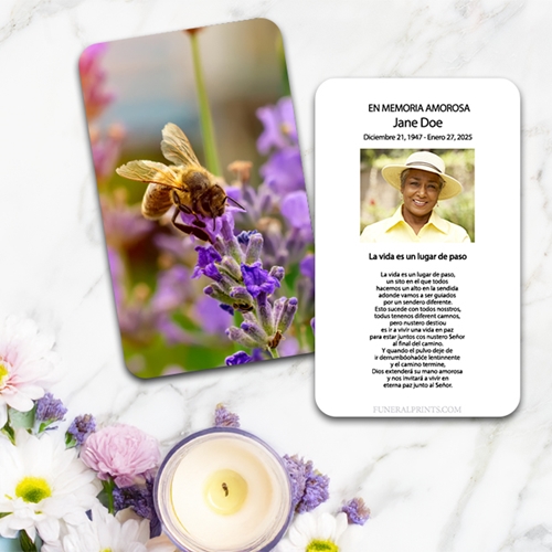 Show details for Bee on Lavender Spanish Prayer Card